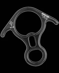 Rescue 8 — Descenders & Rescue