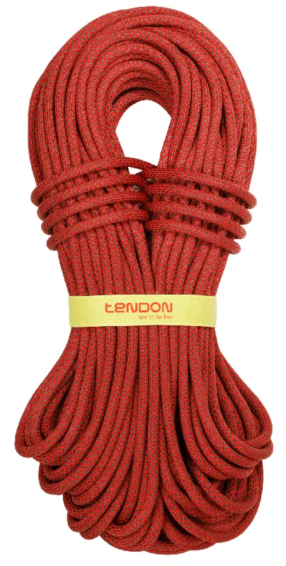 TENDON Ambition 10.0 - Red — Ropes